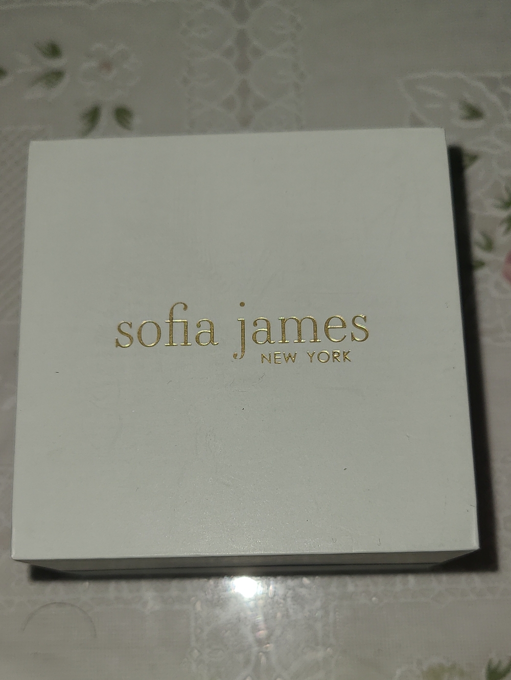 NIB Sofia James Silver Plated Hoop Earrings